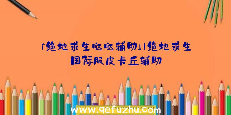 「绝地求生哒哒辅助」|绝地求生国际服皮卡丘辅助